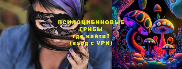кристаллы Мегион