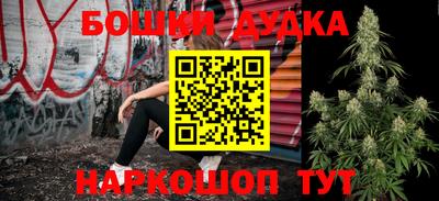 PSILOCYBIN Донской
