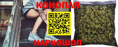 PSILOCYBIN Донской