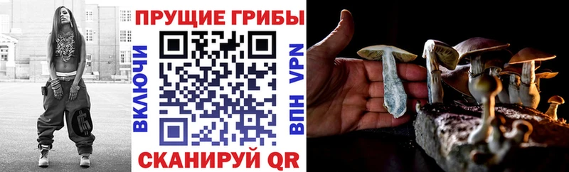 Псилоцибиновые грибы GOLDEN TEACHER  купить наркотики цена  Можга 