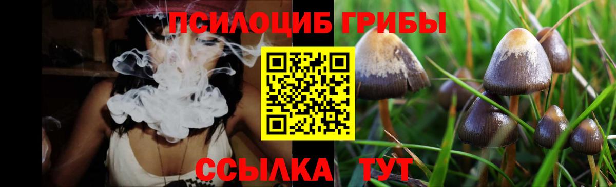 Можга  Галлюциногенные грибы Psilocybine cubensis  Вход с VPN 
