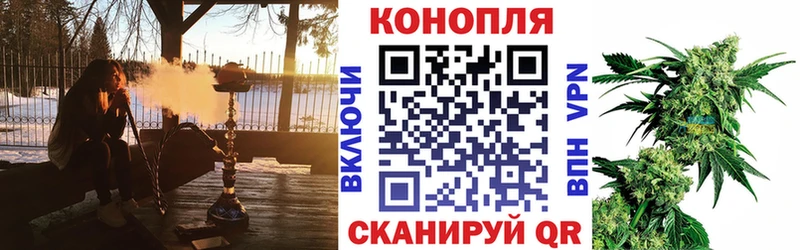 где можно купить наркотик Можга KRAKEN зеркало Конопля Amnesia